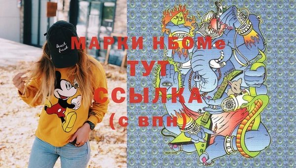 хмурый Абаза