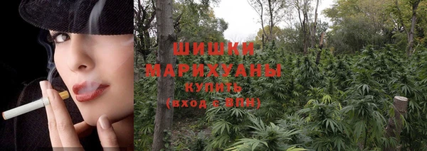 хмурый Абаза